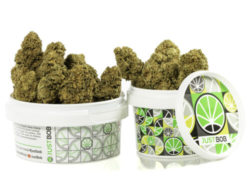 Flores de Marihuana cbd CALIFORNIA HAZE en un contenedor blanco