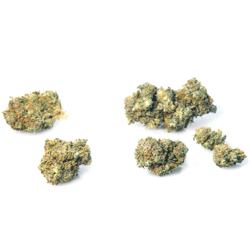 california-haze-canamo-cbd california-haze-canamo-cbd