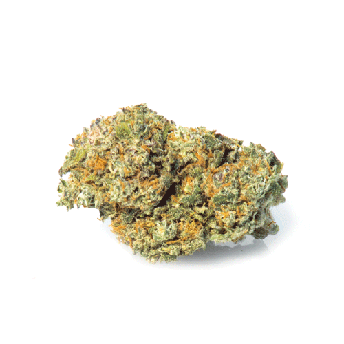 california-haze-cannabis-cbd california-haze-cannabis-cbd