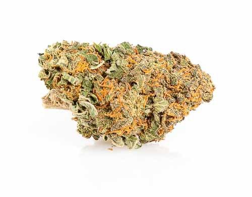 Marihuana CBD Online California Haze