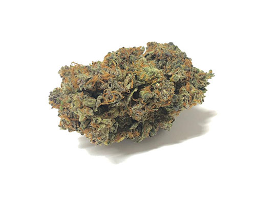 california-haze-weed-marihuana-indica-cannabis-sativa california-haze-weed-marihuana-indica-cannabis-sativa
