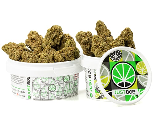 cogollos-california-haze