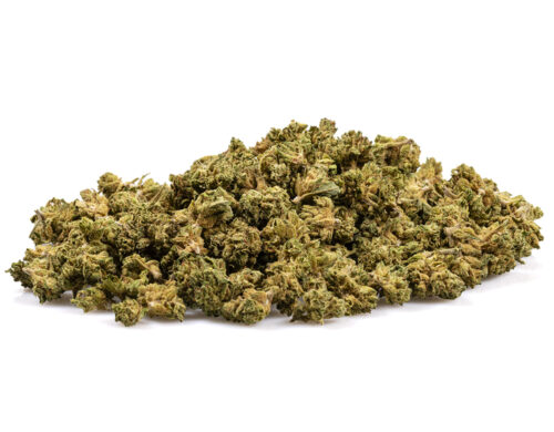 cogollos cbd pequeños de la California haze