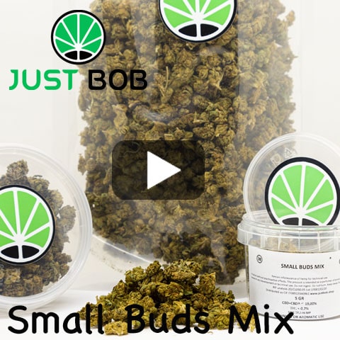 video-small-buds Small Buds
