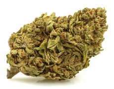 DO SI DOS-small-marihuana-cbd