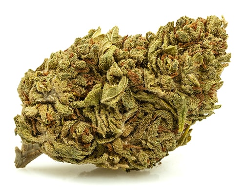 DO SI DOS-small-marihuana-cbd
