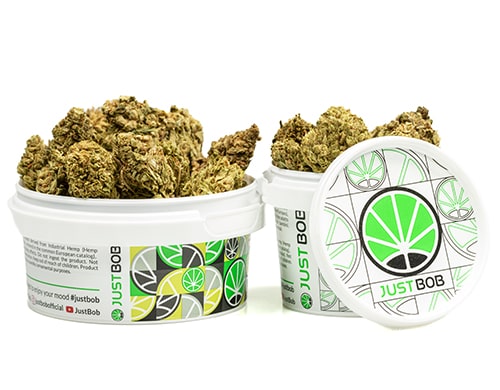 cogollos-cbd-DO SI DOS