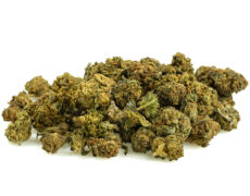 small buds mix marihuana cbd