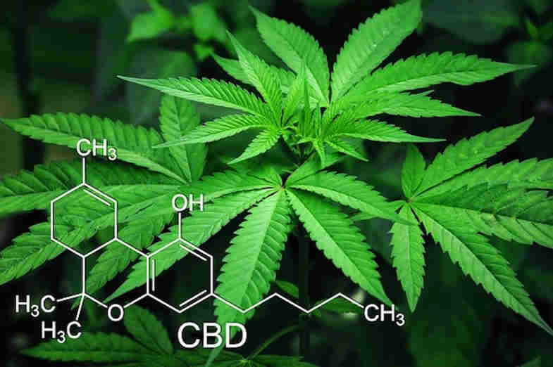 que es el tetrahidrocannabinol?