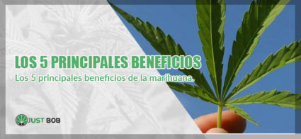 beneficios de la marihuana