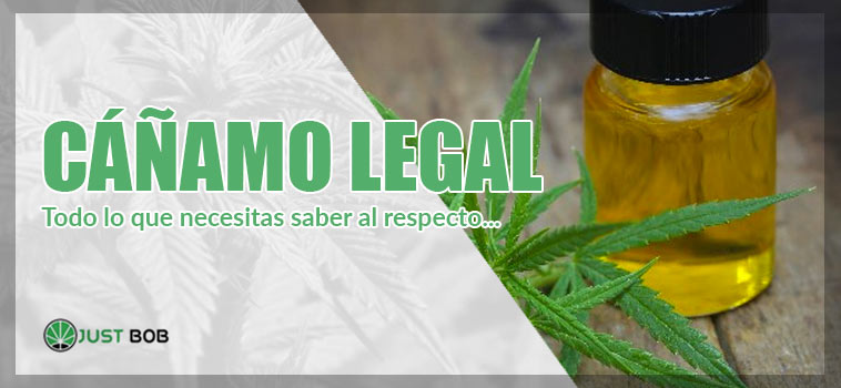 Cáñamo legal: todo lo que necesitas saber al respecto.