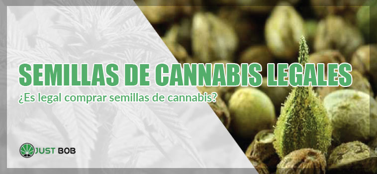 Semillas de cannabis legales