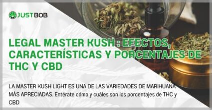 Legal Master Kush : efectos