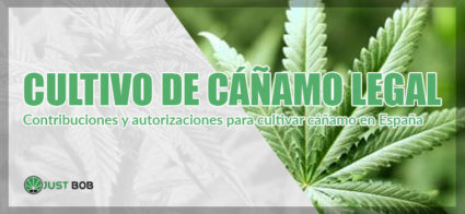 las contribuciones para lo cultivo de canamo legal