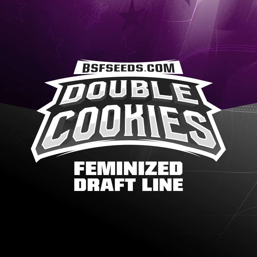 double-cookies-semillas-de-marihuana-feminizadas double-cookies-semillas-de-marihuana-feminizadas
