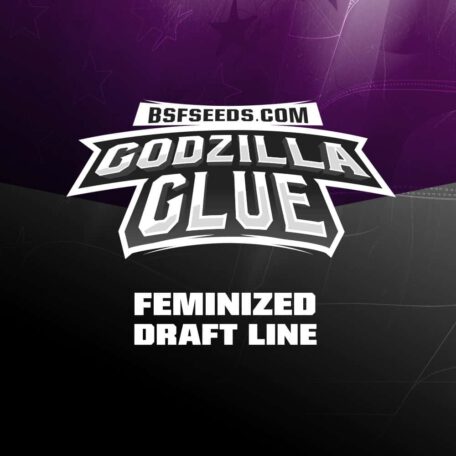 godzilla-glue-semillas-de-canamo-feminizadas godzilla-glue-semillas-de-canamo-feminizadas