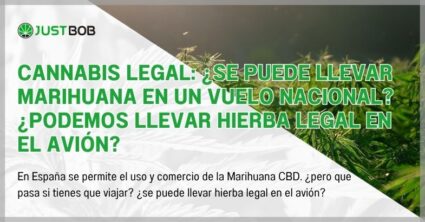 Cannabis legal: ¿se puede llevar marihuana en un vuelo nacional?