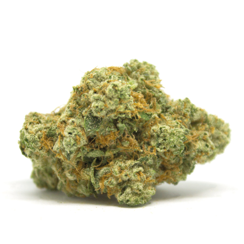 gorilla-glue-canamo-cbd-cannabis gorilla-glue-canamo-cbd-cannabis