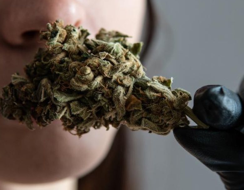 Popularidad del cannabis en Jamaica