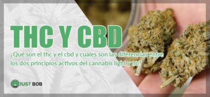 THC y CBD