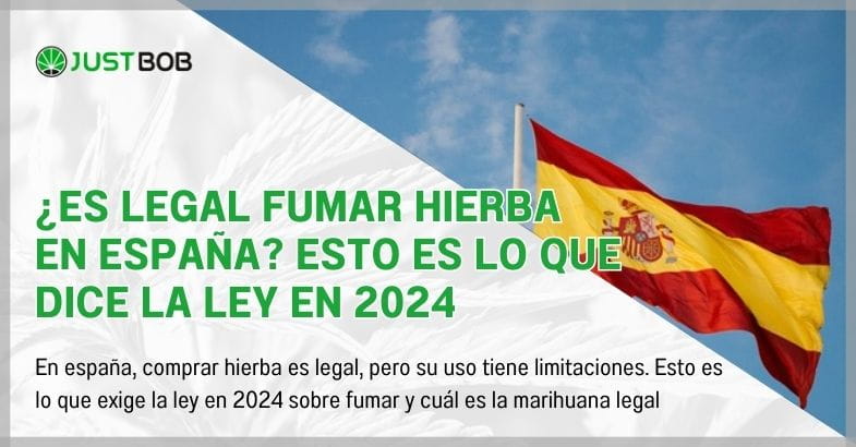 ¿Es legal fumar hierba en España?