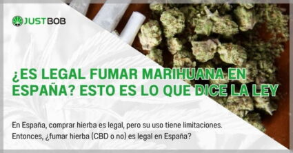 ¿Es legal fumar marihuana en España? Esto es lo que dice la ley