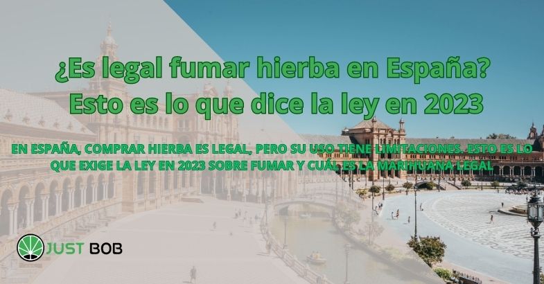 ¿Es legal fumar hierba en España? Esto es lo que dice la ley en 2023