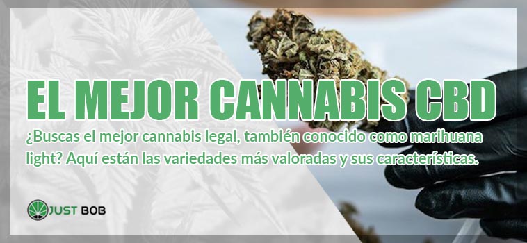 mejor cannabis cbd