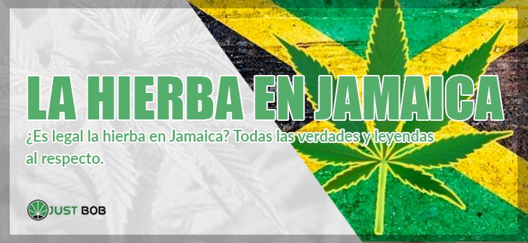 ¿Es legal la hierba en Jamaica_ Todas las verdades y leyendas al respecto_