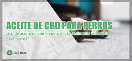 cannabis light y Aceite de CBD para perros