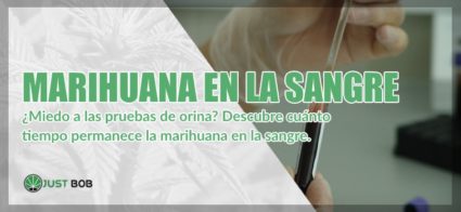 Marihuana en la sangre cbd