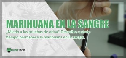 Marihuana en la sangre cbd