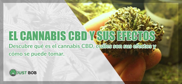 el cannabis CBD y sus efectos