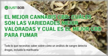 El mejor cannabis CBD: cuáles son las variedades mejor valoradas