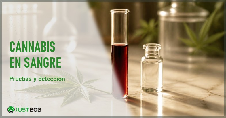 Tubo de muestra de vidrio con liquido burdeos sin etiqueta, una hoja de canamo y un vial de vidrio sobre marmol crema, en un bodegon de laboratorio