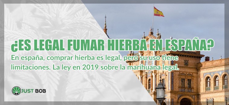 fumar hierba legal en España 2019 cbd