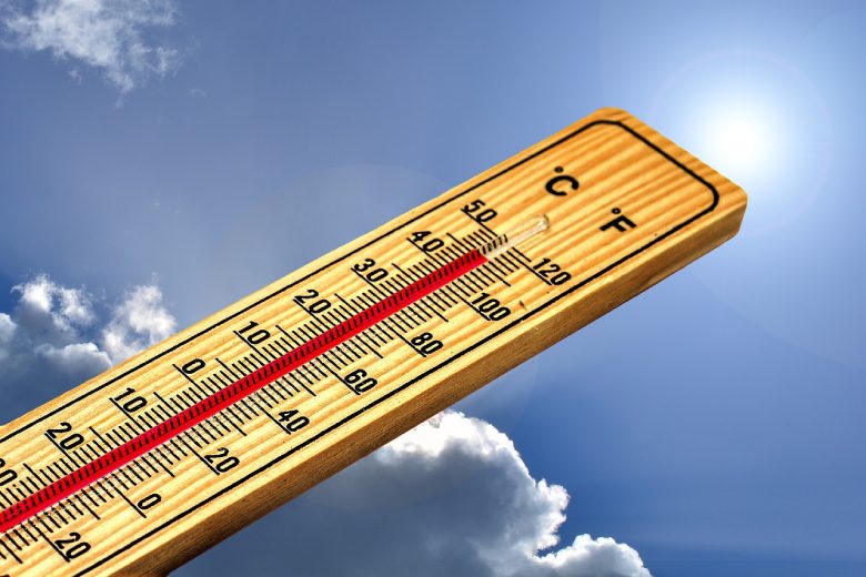 el cambio de temperatura del día a la noche hace toda la diferencia para las plantas de cannabis ligero