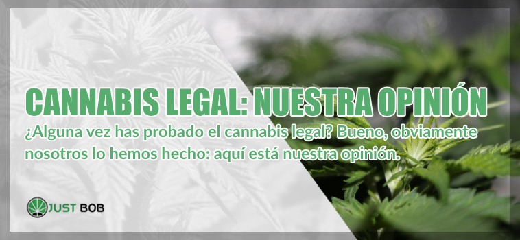 cannabis legal nuestra opinion