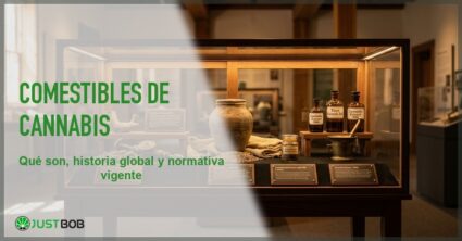 Vitrina de museo con artefactos historicos de cannabis y placas informativas bajo iluminacion ambiental calida