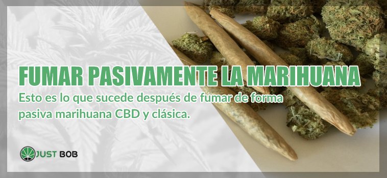 Fumar pasivamente la cannabis cbd