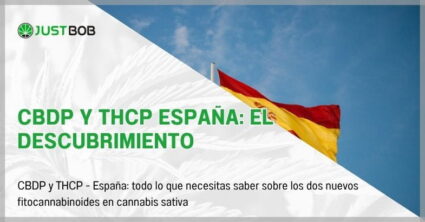 CBDP y THCP España: el descubrimiento