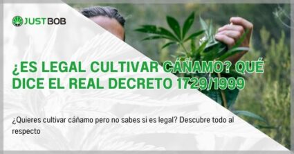 ¿Es legal cultivar cáñamo? Qué dice el Real Decreto 1729/1999