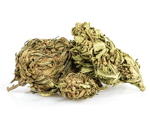Cannabis CBD outdoor buds mix