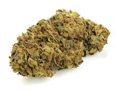 outdoor mix cannabis CBD