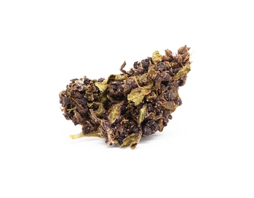 Purple Haze Marihuana