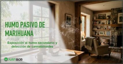 Volutas de humo en un interior domestico con una ventana que muestra aire fresco al exterior