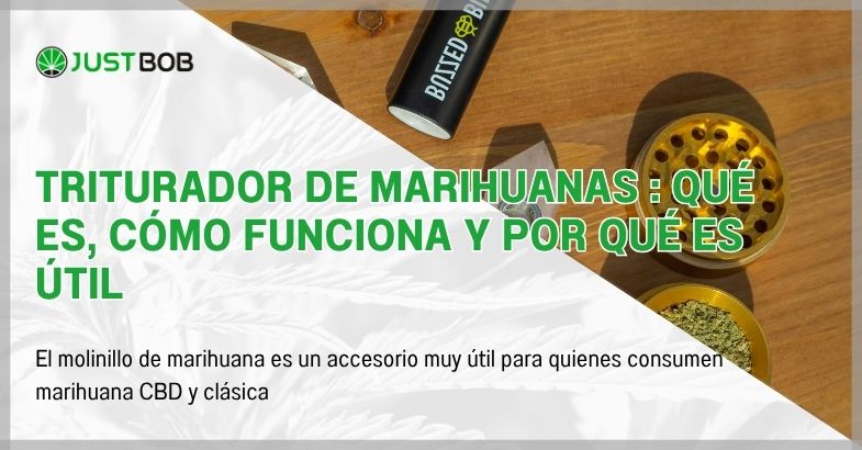 triturador-de-marihuanas-que-es Triturador de marihuanas : qué es