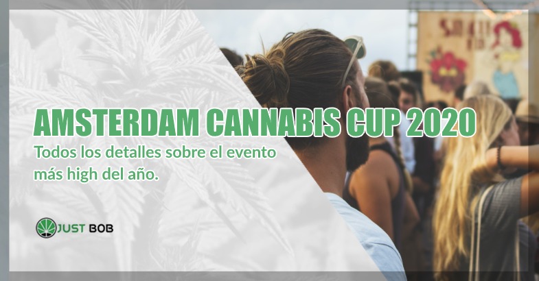 Amsterdam Cannabis Cup 2020 cogollos cbd