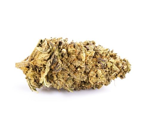 Cogollo de Marihuana CBD Purple GG#4