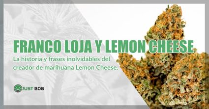 Franco Loja y marihuana cbd Lemon Cheese